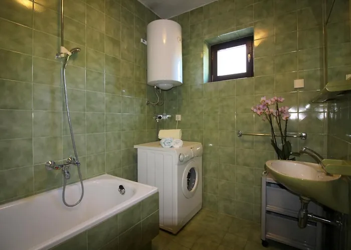 Vakantiehuis In - Istrien 9919 *